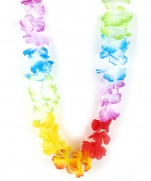 Collier de fleurs Hawaï Collier de fleurs Hawaï
