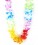 Collier de fleurs Hawaï